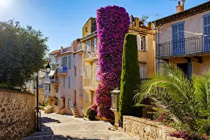 Cote Dazur Prints: A Colourful street scene in Old Town