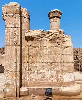 Colonnade Prints: Columns with hieroglyphs and polychromy at Edfu Temple