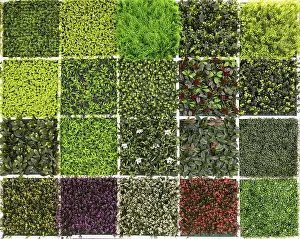 Top Down Prints: A combination of twenty different samples of fake vegetation from above