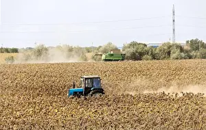 Land Vehicle Prints: A combine harvester in a ripe sunflower field harvests sunflower seeds on a sunny autumn day
