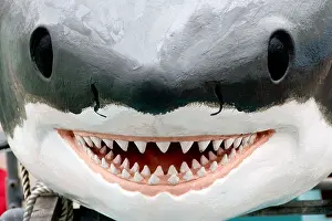 Amusing Prints: comedy shark model on fishing boat with big smile!