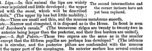 Skeletal Prints: The Comparative Anatomy of the Domesticated Animals (1873)