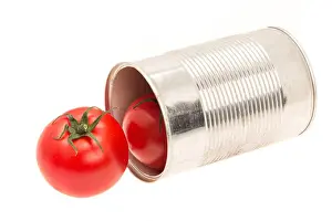 Italian Culture Prints: Concept idea of an open can with fresh tomatoes - studio shot with a white background