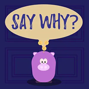Motivate Prints: Conceptual hand writing showing Say Whyquestion