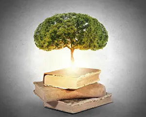 Educated Prints: Conceptual image with green tree growing from book