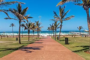 Durban Prints: Concrete palm tree lined walkway heading toward beach sea and blue coastal skyline in Durban