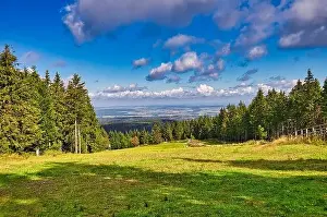 Coniferous forest in the Harz Mountains in Lower Saxony in Germany