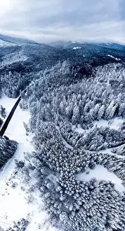Thicket Prints: Coniferous Forest On Mountainous Landscape Densely Covered With Fresh Snow During Winter