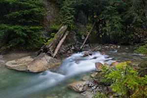 Calming Prints: Connaught Creek, Glacier National Park, British Columbia, Canada