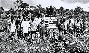 Conservation and sustainable use of medicinal plants in Ghana: conservation report.. Konkonuru villagers at the Community Medicinal Plant Farm Aburi