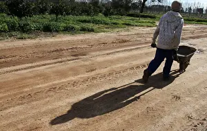Late Afternoon Prints: Construction worker with wheel barrow at building site near Stellenbosch, South Africa