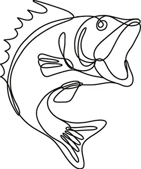 Single Line Prints: Continuous line drawing illustration of a largemouth bass jumping up done in mono line or doodle style in black