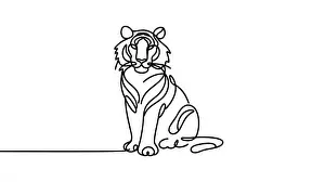 Tiger Prints: Continuous one line drawing. Tiger. Vector illustration on white background