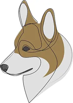 White Vector Vectors Prints: Continuous line Welsh Corgi Pembroke