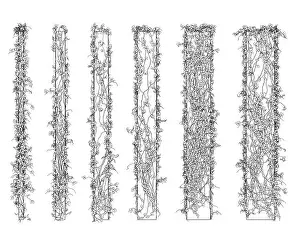 Creeper Prints: Contour of columns entwined with plants with leaves made of black lines isolated on a white background