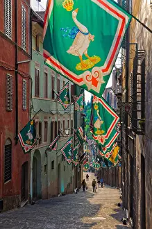 Goose Prints: Contrada dell'Oca flags with a crowned goose wearing a blue ribbon around its neck decorate the houses at the time