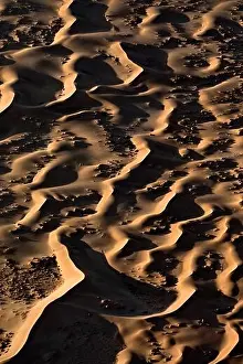 Contrasted abstract of the Oxide rich red sand dunes in the great sand sea of Namibia