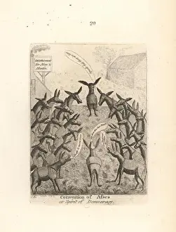 Fools Prints: Convention of Asses, or the Spirit of Democracy