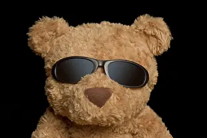 Teddy Prints: cool teddy bear wearing sunglasses Ted