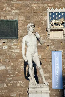 Michelangelo Prints: Copy of Statue David by Michelangelo