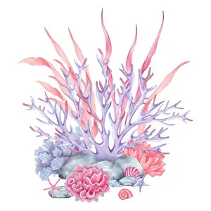 Undersea Prints: Coral reef with shells, rocks, starfish