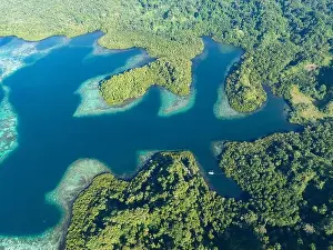 Coral reefs fringe convoluted, tropical islands found in a remote part of the Solomon Islands. This country harbors extraordinary marine biodiversity