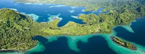 Coral reefs fringe convoluted, tropical islands found in a remote part of the Solomon Islands. This country harbors extraordinary marine biodiversity
