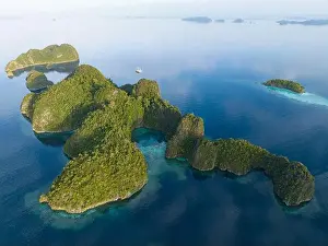Coral reefs surround the dramatic limestone islands that have been uplifted from Raja Ampat's beautiful and biodiverse seascape