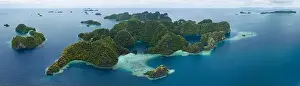 Coral reefs surround the rugged limestone islands that rise from Raja Ampat's seascape. This remote part of Indonesia has high marine biodiversity