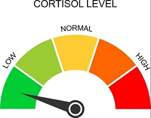 Hormone Prints: Cortisol meter gauge. Body stress response levels