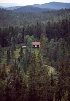 Horizon House Prints: Cottage in the forest