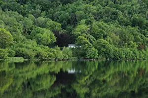 Stillness Prints: Cottage house nestled amongst greenery of trees in forest reflected in still waters of Lough Gill