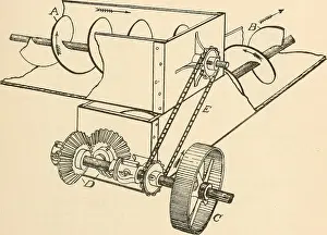 Bookyear1901 Prints: Cotton and cotton oil. Cotton