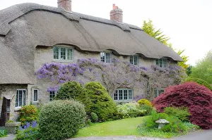Country cottage with wisteria
