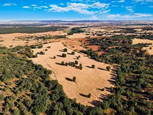 Land Lot Prints: Country landscape of agriculture fields on sunny day with clouds. Segovia