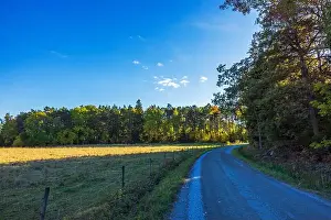 Trave Prints: Country road curving through grassy field and forest under clear blue sky during sunny autumn day