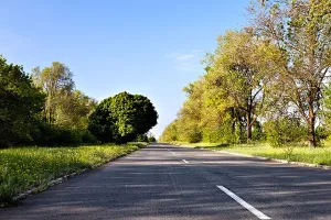Drive Prints: Country road at summer morning