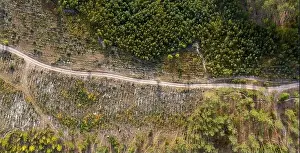 country road, view from above, aerial view