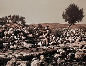 Bethlehem Prints: Countryside near bethlehem Supposed Site of the Angels Appearance to the Shepherds Illustration from Photograph Taken