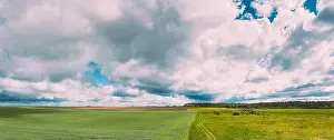 Countryside Rural Field Landscape With Young Wheat Sprouts In Spring Summer Cloudy Day. Agricultural Field. Young Wheat Shoots. Aerial View, Panorama