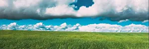 Countryside Rural Green Field Landscape With Young Wheat Sprouts In Spring Summer Cloudy Day. Agricultural Field. Young Wheat Shoots. Aerial View