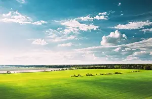 Countryside Rural Green Field Landscape With Young Wheat Sprouts In Spring Summer Cloudy Day. Agricultural Field. Young Wheat Shoots. Aerial View