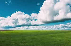 Countryside Rural Green Field Landscape With Young Wheat Sprouts In Spring Summer Cloudy Day. Agricultural Field. Young Wheat Shoots. Aerial View