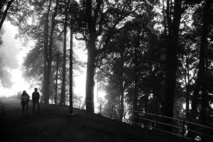 West Bengal Prints: Couple walking in forest path, Darjeeling, West Bengal India, 2011