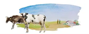 Cows Prints: Cow and bull on the simple watercolor landscape with meadows and lonely house with some trees