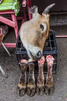 Hoof Prints: Cow head and legs at the market in Sheki, Azerbaijan