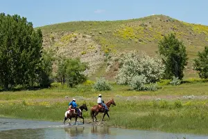 Tribes Prints: Two cowboys and child on horseback cross Little Bighorn river, Crow Agency Montana