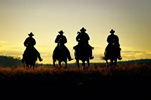 Riders Prints: Four cowboys hitting the trail at sunrise