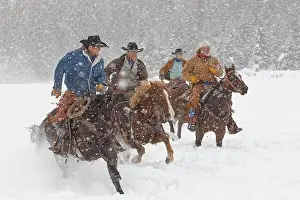 Danita Delimont Prints: Cowboys during winter roundup, Kalispell, Montana