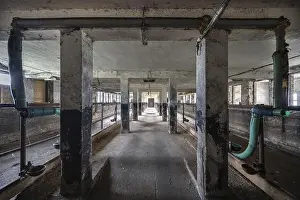 Livestock Farming Prints: Empty cowshed of a former LPG of the GDR, Mecklenburg-Vorpommern, Germany, Europe